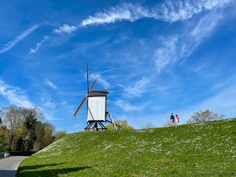 a couple of people that are standing in the grass